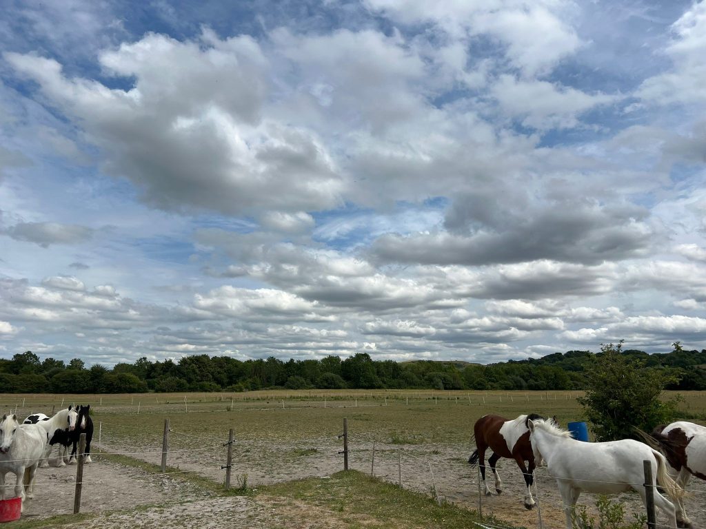 Land and Stables off Sharpenhoe Road, Barton-le-Clay, Bedfordshire, MK45 4SE