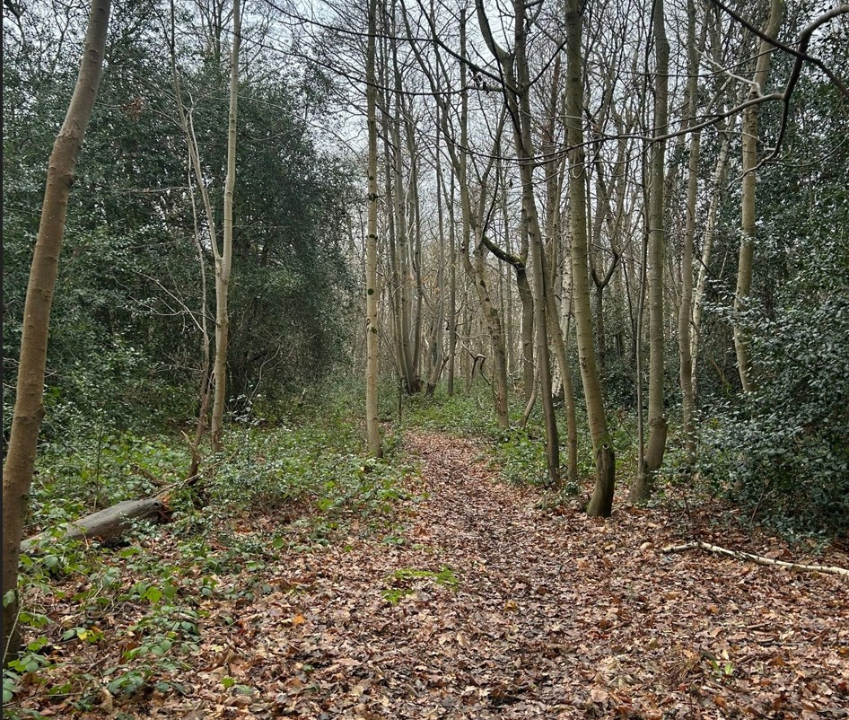 Land at Long Reach Ockham Woking GU23 6PG