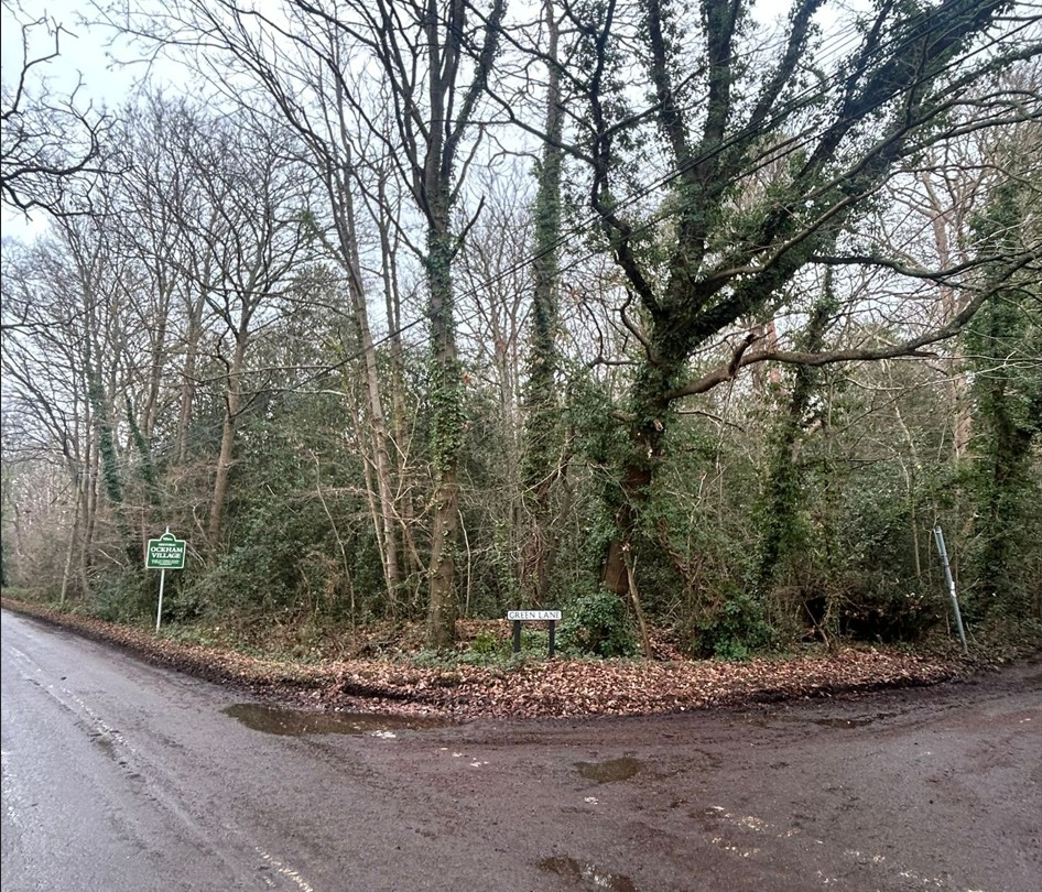 Land at Long Reach Ockham Woking GU23 6PG